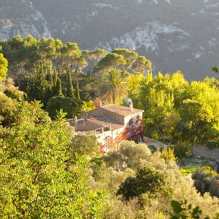 Mirabó De Valldemossa (Mallorca)